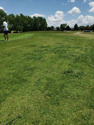 Terrible shape for a golf course. Waste of 50 bucks