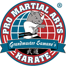 PRO Martial Arts