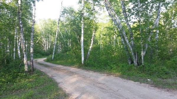 road to one of the campground loops