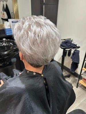 Gray hair can be gorgeous with the right haircut and the right gloss toner to make your hair shine.