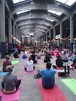 Yoga at the brewery