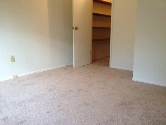 Carpeted spacious bedroom with large walk in closet.