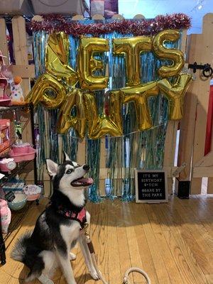 Celebrate your dogs birthday!