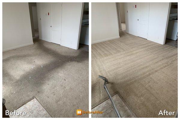 Do not replace your carpet. We bring it back ..