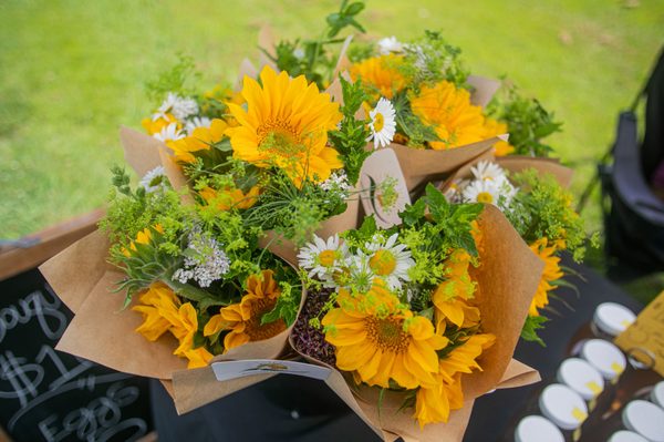 Fresh Cut Flowers