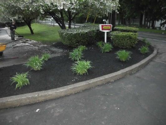 Commercial and Residential Landscaping and Lawn Maintenance