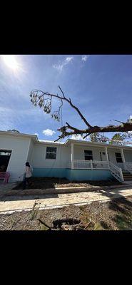 Tree removal from hurricane