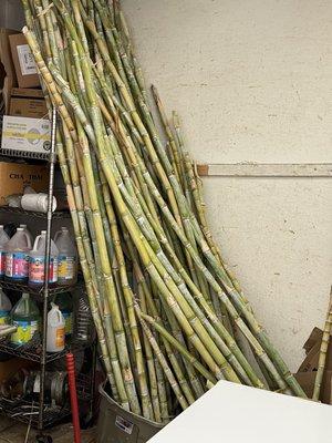 Fresh sugar cane