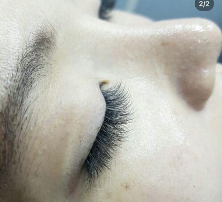 Eyelash Extension