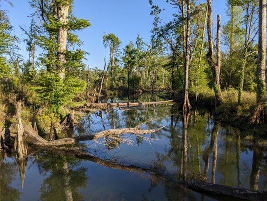 Blue Hole Spring