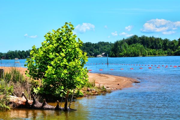 Lake James beach area