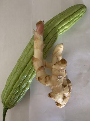 Today's purchases were this fresh young ginger root and bittermelon