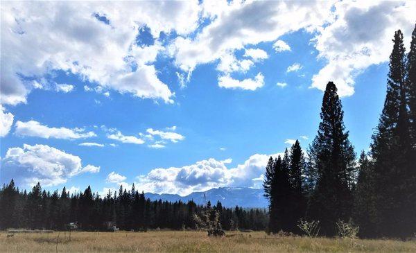 High Sierra Meadows - Arnold Meadow