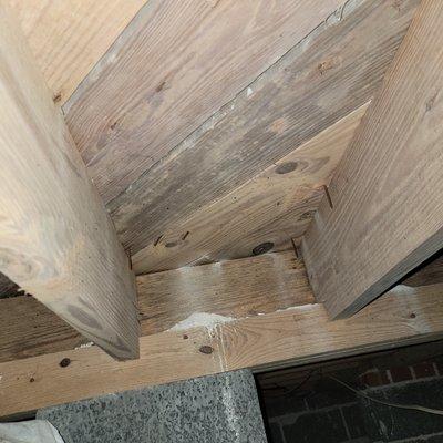 Example of Mold impacted wood members in Crawl Space