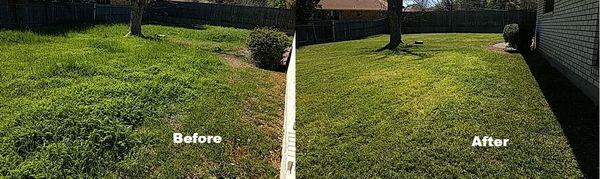 mowing before and after