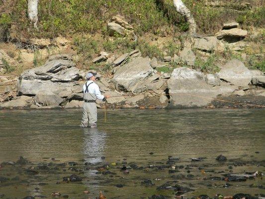 Fly Fishing on the Cumberland River! One of the top places in the country for trout fishing!