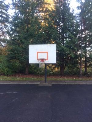 Basketball Court (Adjustable.)