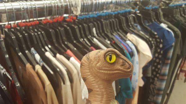 Bob the Raptor Says "These Mammals have really good deals on clothes and stuff."