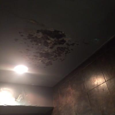 This is the bathroom ceiling of Liv Nightclub