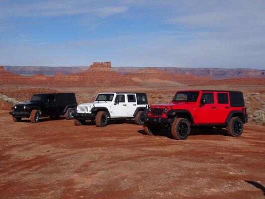 Many vehicles to choose from for the perfect adventure.