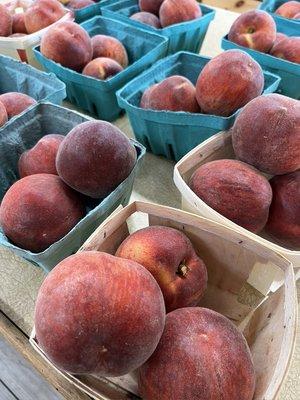 Pennsylvania Peaches!