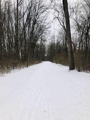 Schumacher Trail