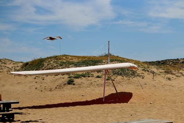 Marina State Beach