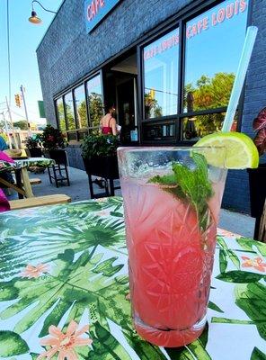 Watermelon gin and tonic