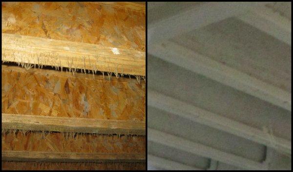 Before & After of Mold on Ceiling Joists.