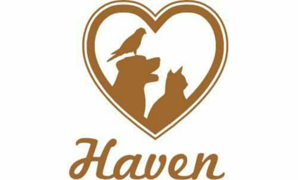 Haven-pets, fiber and more!