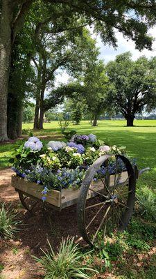 Fresh Floral Wagons...compliments of Waters Nursery