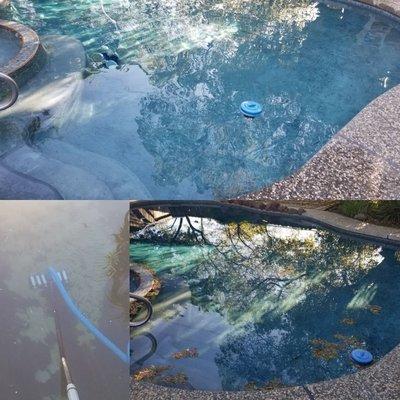 Vacuum and Pool Clean Up service