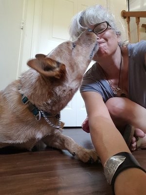 Suzi and Pig Australian Cattle Dog Red Heeler