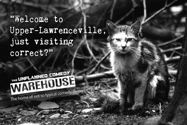 Upper-Lawrenceville is a great place for deadened industry, feral cats, and comedy