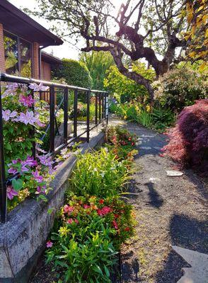 Garden Pathway to the entrance