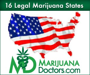 Medical Marijuana Doctors Network