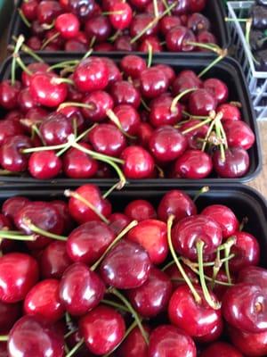 Bing Cherries