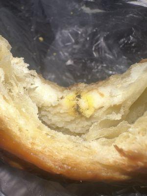 Mold in bread