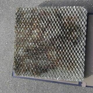 Did you know your humidifier pad may look like this?. Call for your complete heating system service only $69.00 734-658-9672