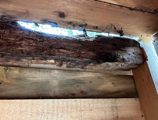 rotten beam that was covered with siding