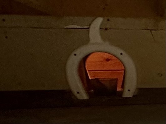 Added a cat tunnel for access to garage