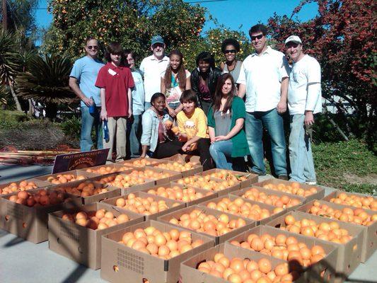 Food Forward Orange Pick