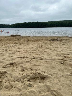 Sand, water, trees, kids playing