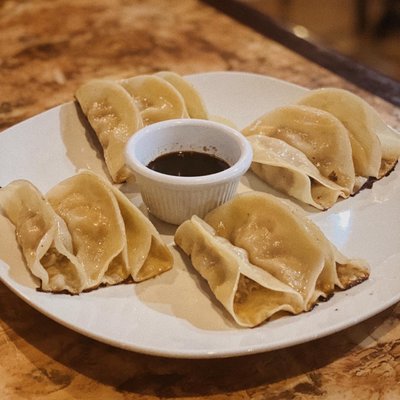 15.Pan Fried Pork Pot Stickers