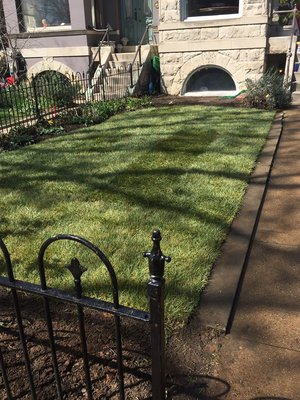 Regraded, old lawn detached, soil install, edging, soil amending, and sod install