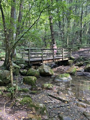 Walk across this bridge.  The waterfall is worth it.