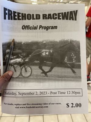 Racetrack Program