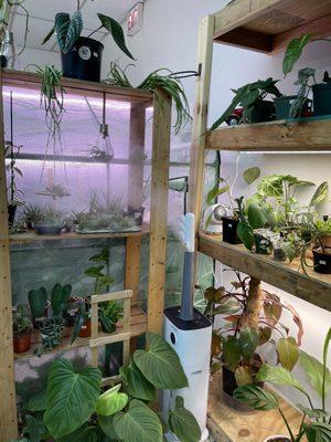 inside plant shop