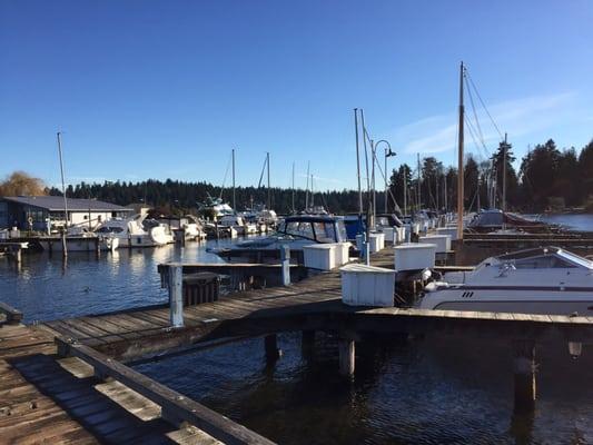 Leschi and Lakewood Marinas