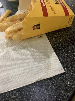 bug in fries